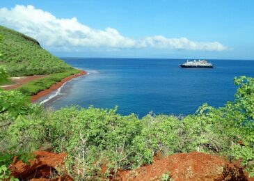 8 Best Galapagos Islands Travel Tips