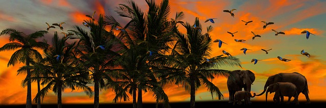 best travel places in africa