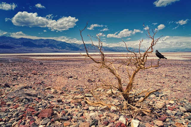 death valley usa