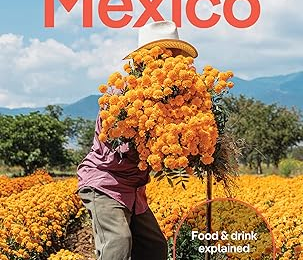 Best Mexico Travel Guides (Review): Top 5 Mexico Travel Guides for Smart Travelers